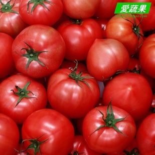  绿色食品新鲜蔬菜 西红柿/番茄 湖北武汉配送 一斤约3个
