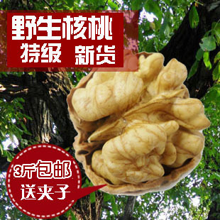  秒杀 3斤包邮 老树坚果 野生 土核桃 山核桃 零食 孕妇宝宝 补脑