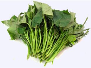  新鲜红薯叶 蕃薯叶 地瓜叶 甘薯叶 生鲜蔬菜 南北干货 广东特色