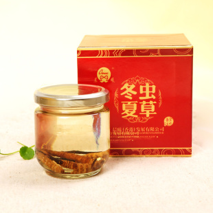  晨曦鲜炖虫草 即食虫草 最新鲜的虫草 玉树虫草