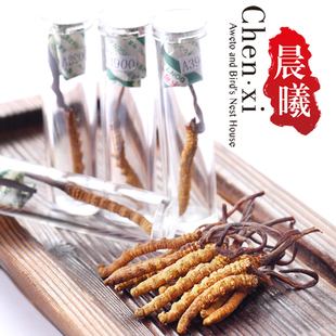  晨曦 冬虫夏草正品 青海玉树 赠送礼盒送礼超有档次 3根/1克