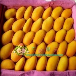  {大鹏果品}产地直销海南小腰芒9斤装海南芒果 果肉香甜 新鲜水果