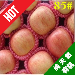  新鲜水果 烟台栖霞红富士苹果 甜脆批发 产地直销 直径约85mm以上