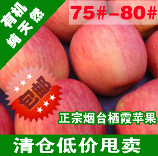  山东烟台苹果水果新鲜栖霞冰糖心红富士苹果有机75#批发多地包邮