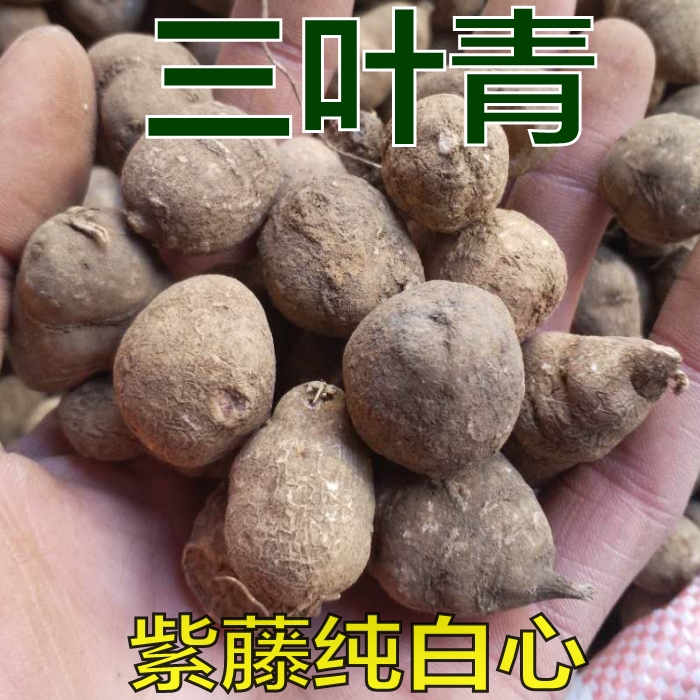中药材三叶青 新鲜 紫藤三叶青金丝吊葫芦 500克包邮另有三叶青片|ruв категории традиционные питательный пища, другие традиционные тоник, другие традиционные тоник - от Buy2taobao.com для оказания профессиональной услуги покупки агента Taobao