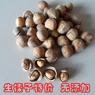  东北特产 野生榛子 东北榛子 不开口生榛子无添加