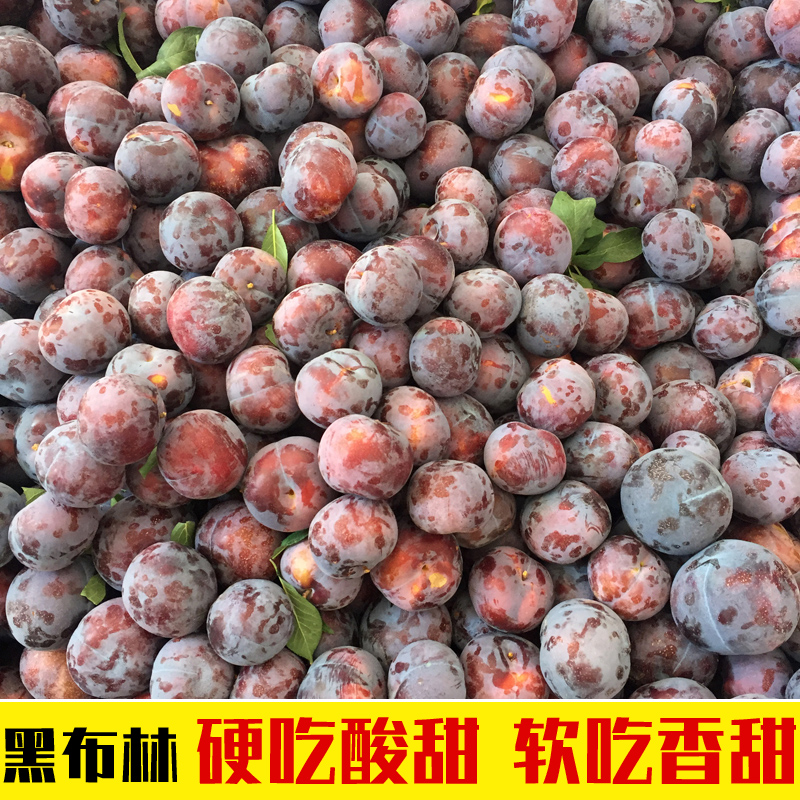 5斤陕西新鲜黑布林李子应季水果 非脆脱骨恐龙蛋四川红心三华西梅|msdalam kategori daging perikanan/Buah-buahan segar dan sayur-sayuran/dimasak, buah-buahan segar, Li Zi - dari Buy2taobao.com untuk memberikan perkhidmatan ejen Taobao profesional membeli