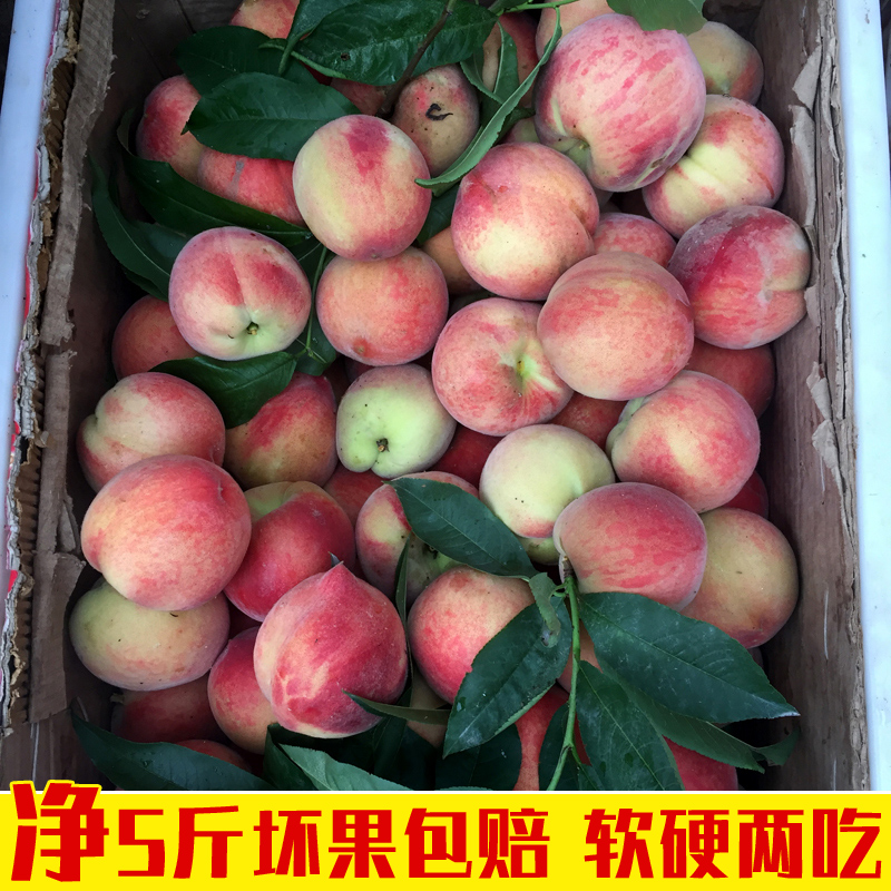 淨重5斤陝西香甜水蜜桃毛桃子當季水果新鮮包郵 非脆硬黃血油蟠10在類目 水產肉類/新鮮蔬果/熟食, 新鮮水果, 桃中 - 來自Buy2taobao.com提供專業的淘寶代購服務