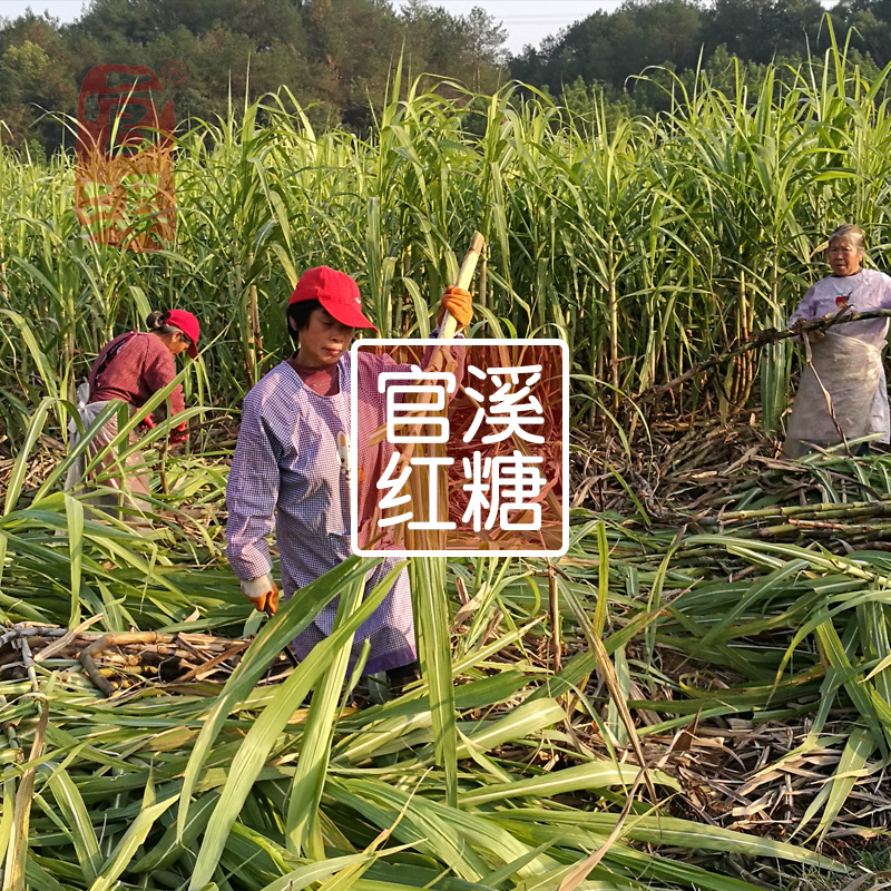 Guan Xi Sitting on the moon Brown sugar 500g Maternal Sugar cane manual Pharaoh Earth brown sugar Menstruation Recuperate Red soil Sugarloafin the Maternity/Maternal supplies/Nutrition , Child nutrition month , January is the soup category - from Buy2taobao.com to provide professional Taobao agent buy service