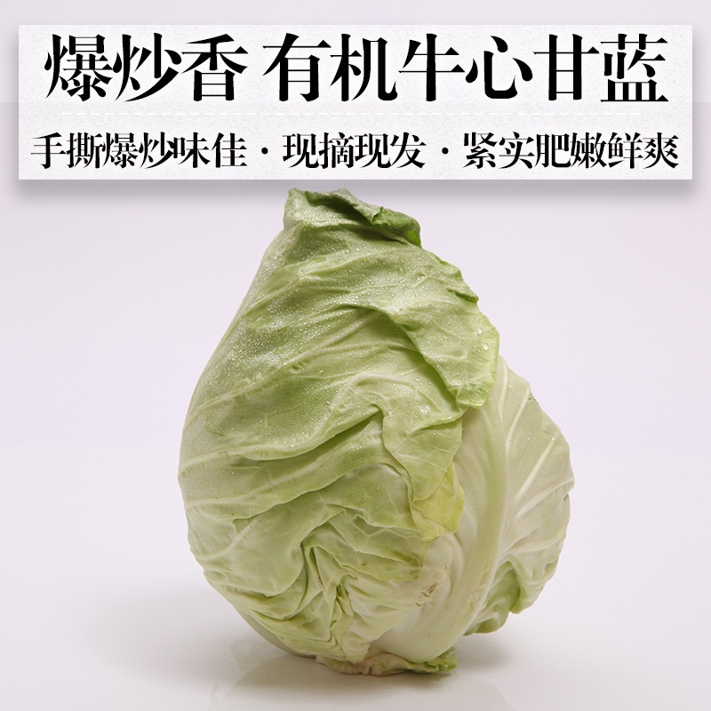 嘉仕有机牛心甘蓝包菜300g时令新鲜蔬菜青菜农产品生鲜现摘满包邮在类目 水产肉类/新鲜蔬果/熟食, 新鲜蔬菜/蔬菜制品, 新鲜蔬菜, 其它中 - 来自Buy2taobao.com提供专业的淘宝代购服务