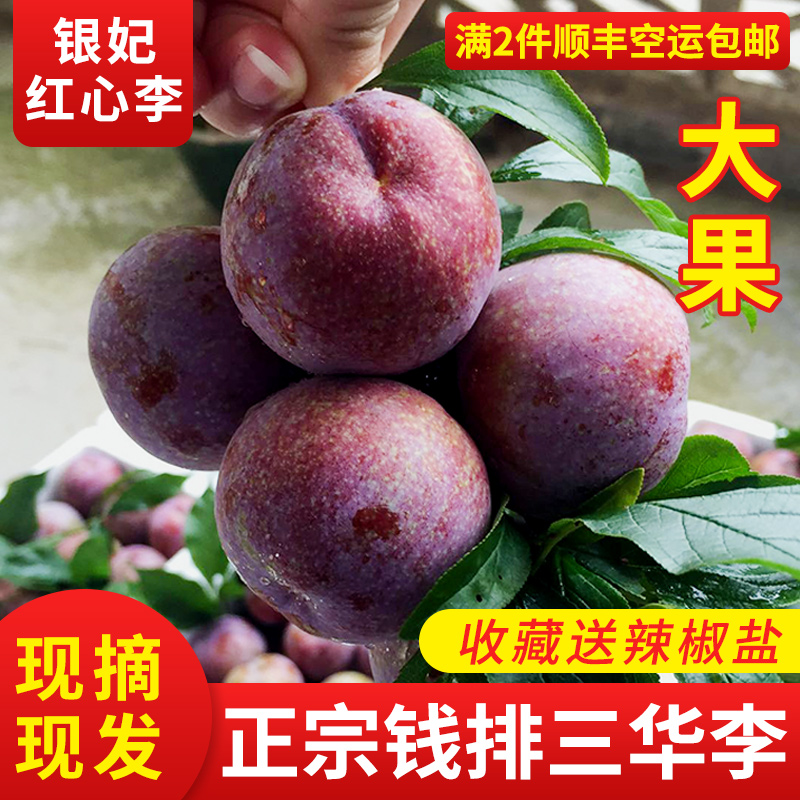 goods in stock fresh Orthodox school Xinyi San Hua Li Red Plums Sweet and sour pregnant woman fruitin the Aquatic meat/Fresh fruits and vegetables/Cooked , Fresh fruit , Plums category - from Buy2taobao.com to provide professional Taobao agent buy service