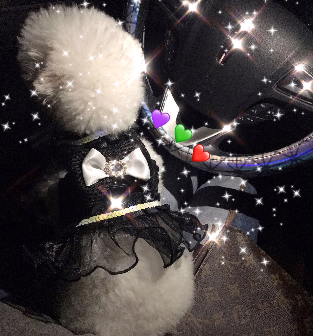 三犬一生潮牌宠物牵引裙透气蝴蝶结牵引绳套装猫狗衣贵宾泰迪蹦迪在类目 宠物/宠物食品及用品, 宠物服饰及配件, 宠物服装/雨衣中 - 来自Buy2taobao.com提供专业的淘宝代购服务