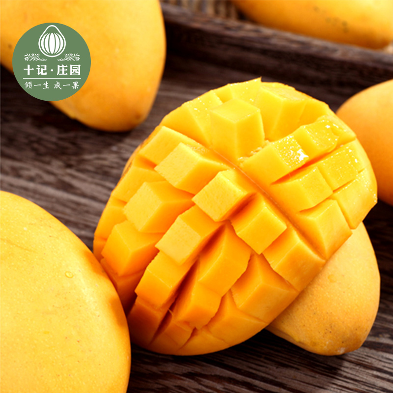 海南小台农 芒果苗嫁接苗 庭院阳台盆栽南方水