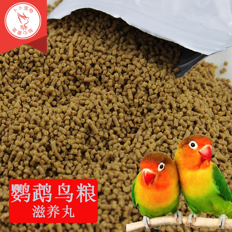 鹉日常糧 鹦鹉合成糧 顆粒飼料 鹦鹉滋養丸 鹦鹉飼料鹦鹉鳥糧在類目 寵物/寵物食品及用品, 鳥類及用品, 鳥食中 - 來自Buy2taobao.com提供專業的淘寶代購服務