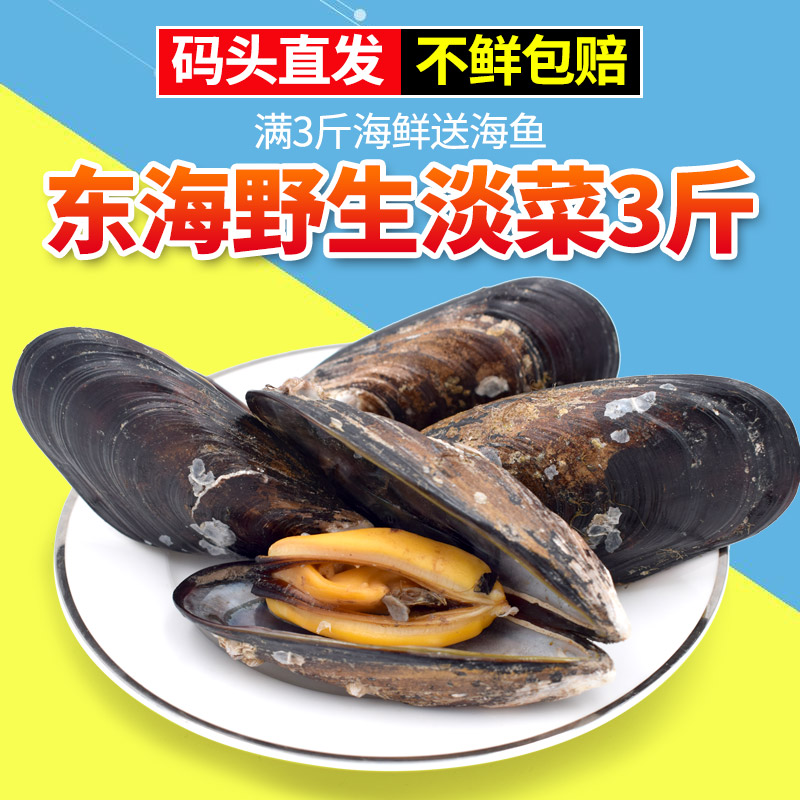 Yushan Island Light vegetable 3 Haihong Mussels shell Mussels fresh wild Zhoushan Seafood Shellfish Fresh fishin the Aquatic meat/Fresh fruits and vegetables/Cooked , Seafood/Aquatic/Product , Shellfish , Shellfish Products category - from Buy2taobao.com to provide professional Taobao agent buy service