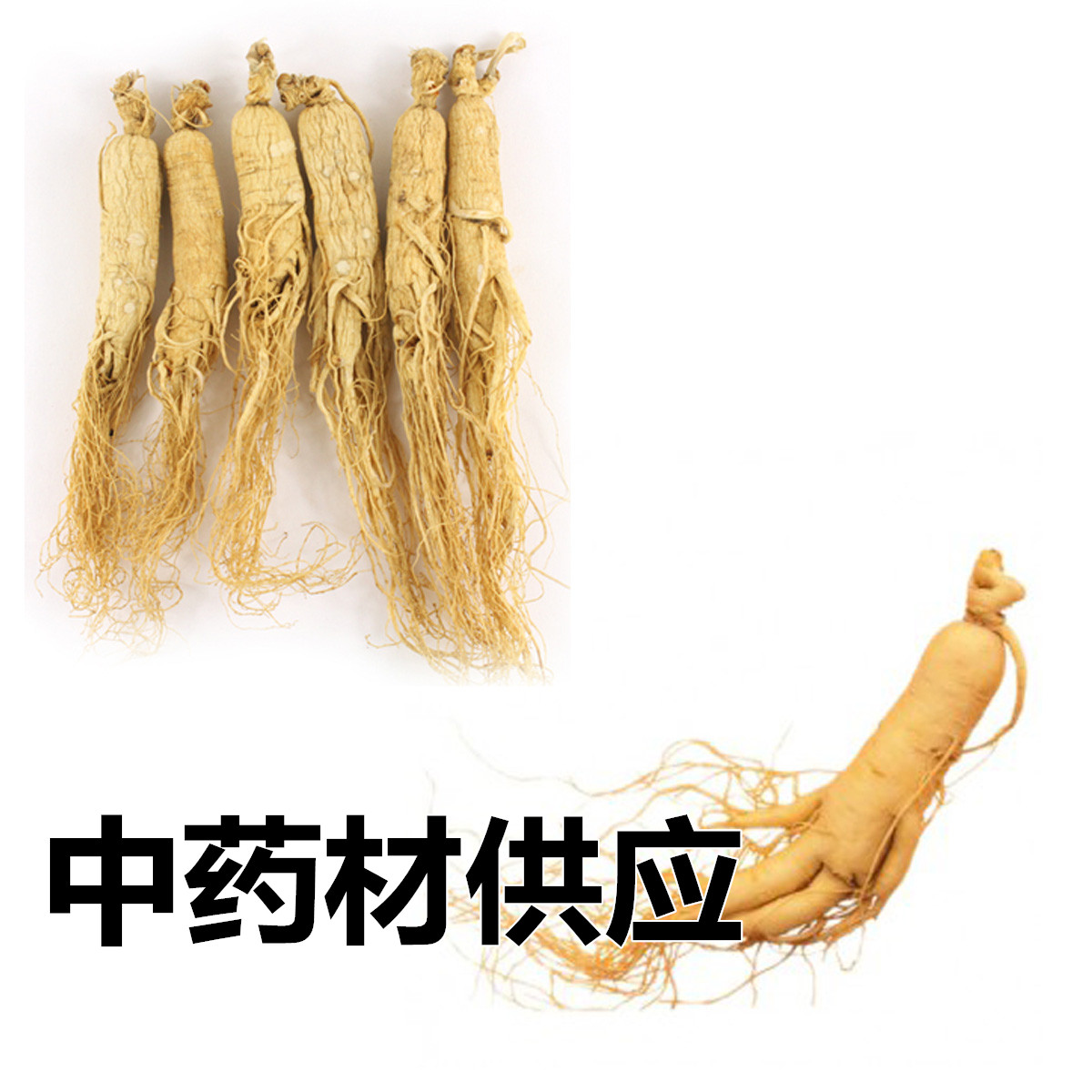 白参 1根/40元包邮 白人参 吉林长白山人参 生晒参根 8年根中药材在类目 传统滋补营养品, 参类滋补品, 人参/园参中 - 来自Buy2taobao.com提供专业的淘宝代购服务