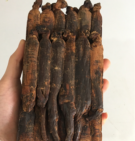 Ginseng 8 eradicated 600 G box Panax ginseng Imported North Korea Ginseng Red ginseng supplyin the Traditional nourishing food , Ginseng tonic , Ginseng/Garden ginseng category - from Buy2taobao.com to provide professional Taobao agent buy service