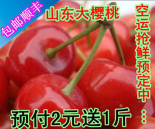  【预售/预定】山东大樱桃 新鲜水果 胜进口车厘子包邮顺丰