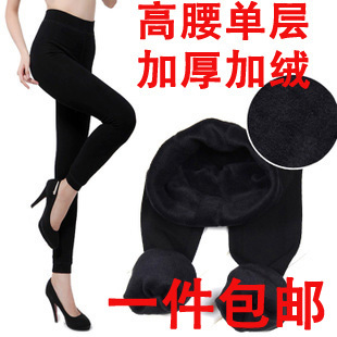  春装加绒加厚打底裤女式裤子高腰大码打底裤韩版显瘦女士包邮
