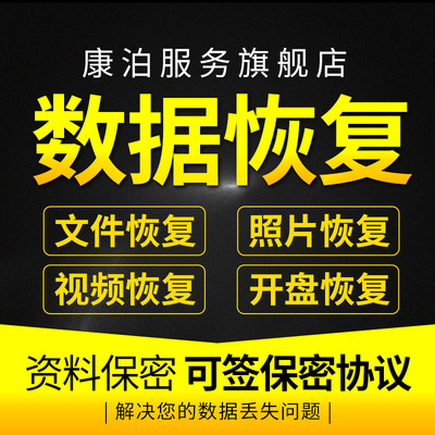 电脑U盘内存sd卡照片文件数据恢复软件移动硬盘修复开盘维修服务