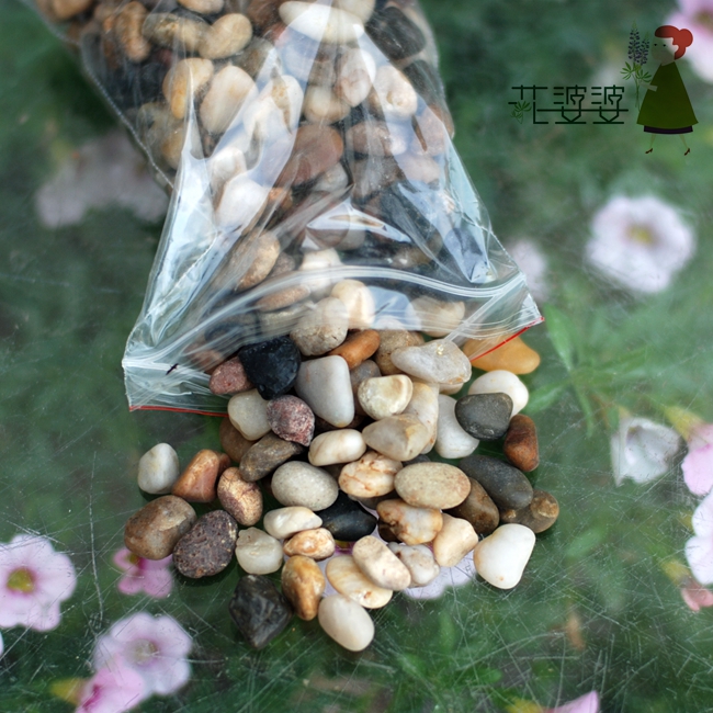 花婆婆 小顆粒鵝卵石 園藝庭院修飾花卉綠植水培植物水仙花鵝卵石在類目 鮮花速遞/花卉仿真/綠植園藝, 園藝用品, 其它園藝用品中 - 來自Buy2taobao.com提供專業的淘寶代購服務