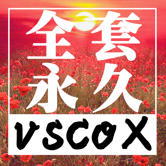 2019 new edition VSCO Film Literature and Art Complete Set X KLPs film Filter Jigsaw puzzle Studio People Scenery Defaultin the Personalized custom/Design Services/DIY , Daily/Decorative custom , Hand-drawn cartoon reality/Custom painting class category - from Buy2taobao.com to provide professional Taobao agent buy service