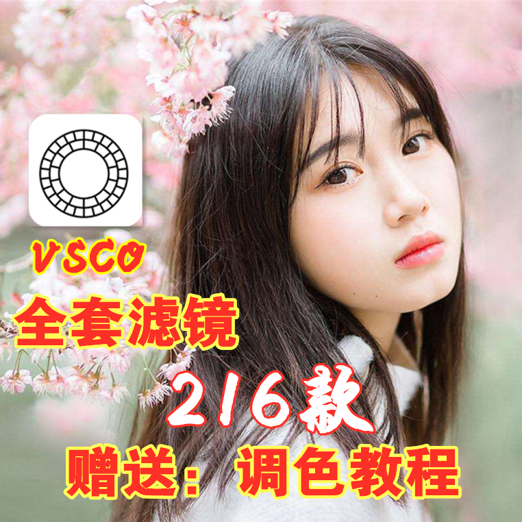 2019新版VSCO Film文藝全套X KLPs電影濾鏡拼圖影樓人物風景預設在類目 個性定製/設計服務/DIY, 日用/裝飾定製, 拼圖定製中 - 來自Buy2taobao.com提供專業的淘寶代購服務
