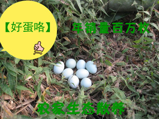  【好蛋咯】绿壳鸡蛋 农村生态散养绿壳鸡蛋有机鸡蛋 乌鸡蛋