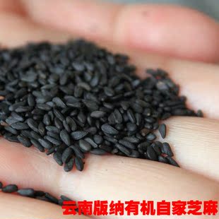  生黑芝麻新货 有机云南版纳农家土特产 补肾乌发五谷杂粮包邮500g
