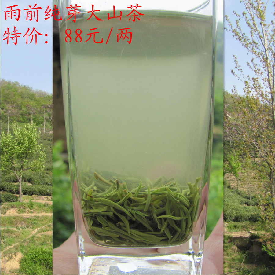 2019年新茶芽头 恩茗茶叶小黑妹大山茶信阳毛尖雨前茶叶一级纯芽在类目 茶, 绿茶(新), 信阳毛尖中 - 来自Buy2taobao.com提供专业的淘宝代购服务