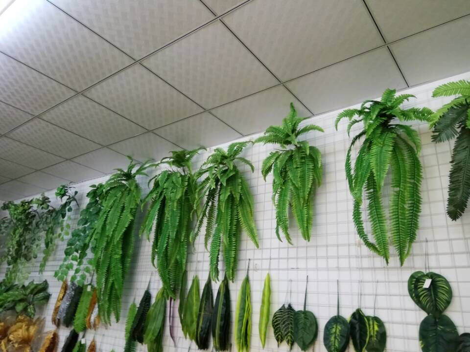 仿真植物花草 假叶常青叶 波斯叶植物 花墙植物墙植被在类目 鲜花速递/花卉仿真/绿植园艺, 仿真花/绿植/蔬果成品(新), 仿真绿植中 - 来自Buy2taobao.com提供专业的淘宝代购服务