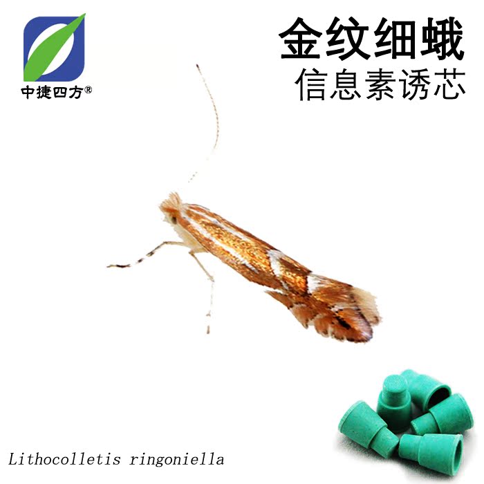 中捷四方金纹细蛾信息素诱芯性诱剂昆虫信息素在类目 农机/农具/农膜, 农业工具, 其它农用工具中 - 来自Buy2taobao.com提供专业的淘宝代购服务