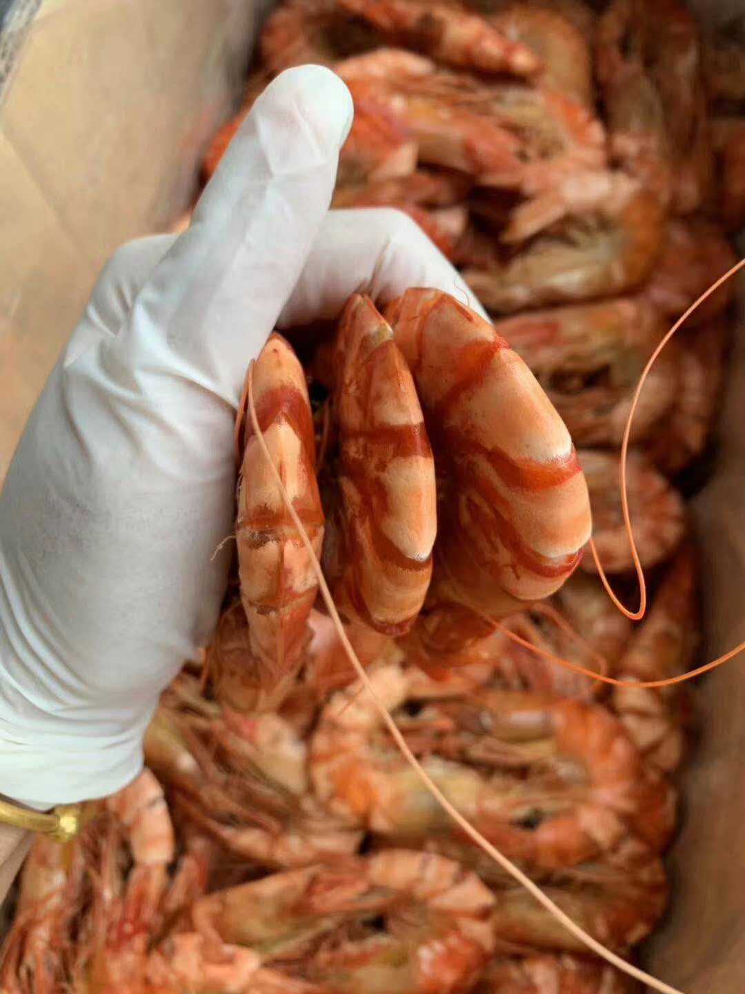28只特大蝦幹九節蝦幹湛江特産大烤蝦幹補鈣即食烤蝦幹斑節蝦幹在類目 水產肉類/新鮮蔬果/熟食, 海鮮/水產品/製品, 蝦類, 蝦類製品中 - 來自Buy2taobao.com提供專業的淘寶代購服務