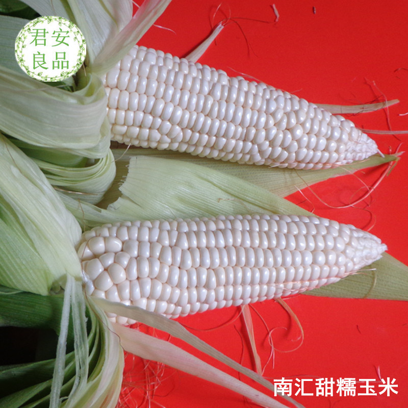 上海特产南汇宣桥珍珠玉米 新鲜带皮15根/箱甜糯玉米 江浙沪包邮在类目 水产肉类/新鲜蔬果/熟食, 新鲜蔬菜/蔬菜制品, 新鲜蔬菜, 其它中 - 来自Buy2taobao.com提供专业的淘宝代购服务