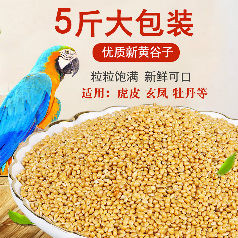 再再黄谷子带壳小米虎皮玄凤牡丹鹦鹉鸟食饲料鸟粮食物粮食5斤在类目 宠物/宠物食品及用品, 鸟类及用品, 鸟食中 - 来自Buy2taobao.com提供专业的淘宝代购服务
