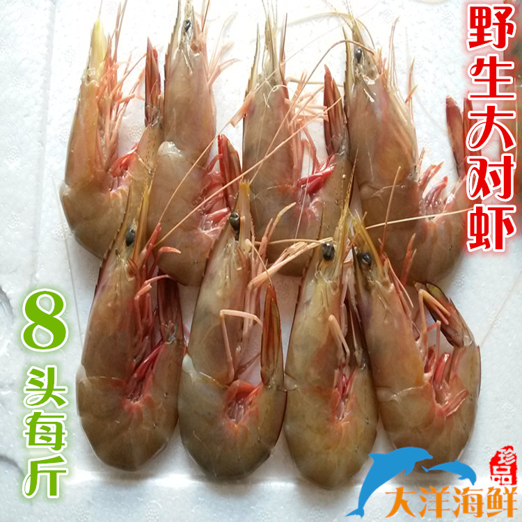 野生大对虾 鲜虾 海虾 礼品虾 孕妇辅食 8头/斤20只包邮|msdalam kategori daging perikanan/Buah-buahan segar dan sayur-sayuran/dimasak, makanan laut/produk akuatik/produk, udang, udang Live - dari Buy2taobao.com untuk memberikan perkhidmatan ejen Taobao profesional membeli