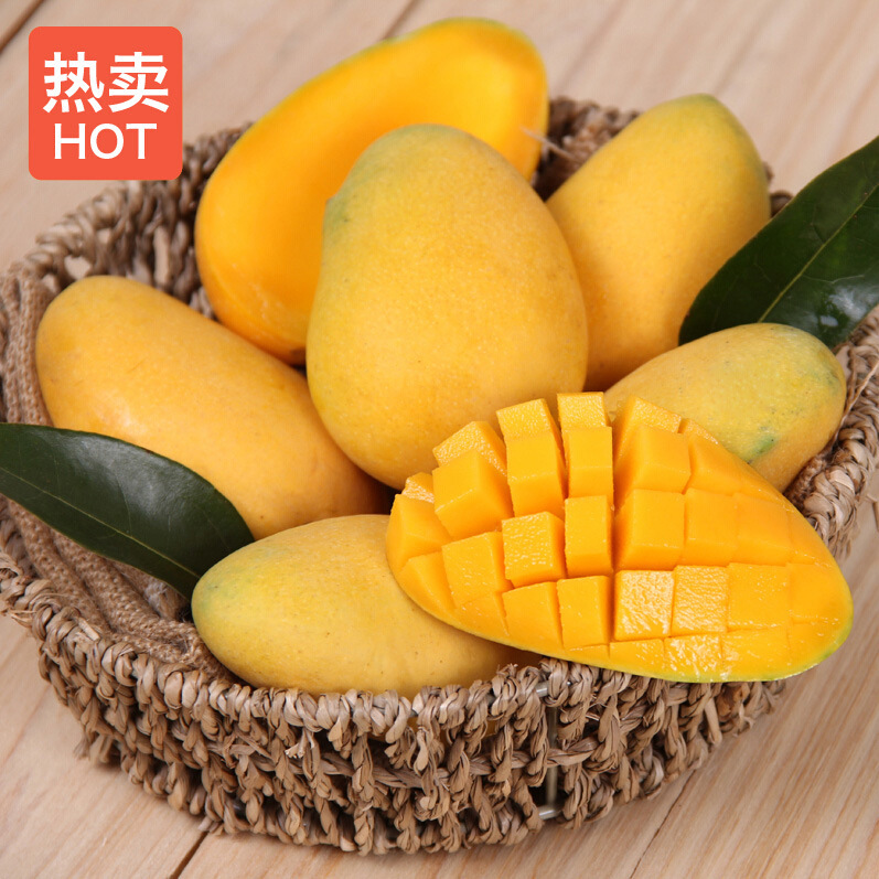 海南小台农 芒果苗嫁接苗 庭院阳台盆栽南方水