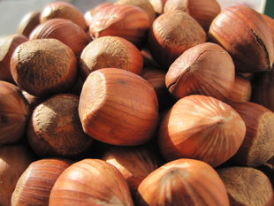  12新货 美国进口大榛子 皮薄粒大 零食坚果特价2斤包邮 28元/500g