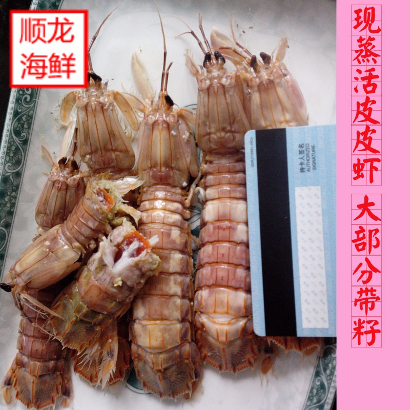 现蒸活皮皮虾 鲜活蒸熟发货 爬爬虾虾姑虾爬子琵琶虾虾虎撒尿虾在类目 水产肉类/新鲜蔬果/熟食, 海鲜/水产品/制品, 虾类, 活虾中 - 来自Buy2taobao.com提供专业的淘宝代购服务