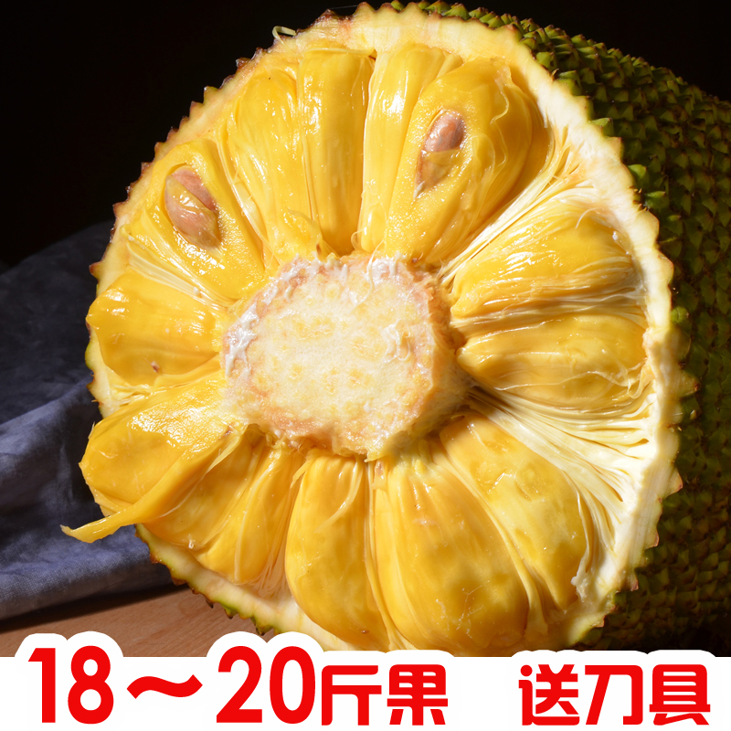 Fruit Selection in Live Sowing Room 18-20 Hainan fresh fruit Hainan jackfruit Dict.cn Durianin the Aquatic meat/Fresh fruits and vegetables/Cooked , Fresh fruit , Other category - from Buy2taobao.com to provide professional Taobao agent buy service