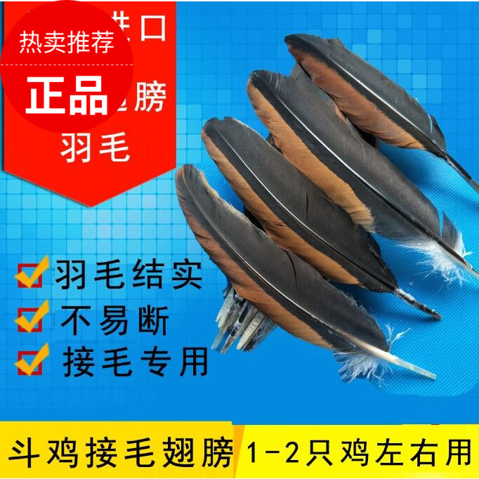 斗鸡 斗鸡训练用品 斗鸡翅膀羽毛 斗鸡接毛补毛斗鸡翅膀 斗鸡羽毛|msdalam kategori haiwan peliharaan/makanan haiwan dan bekalan, haiwan kesayangan yang lain, Peralatan haiwan peliharaan yang lain - dari Buy2taobao.com untuk memberikan perkhidmatan ejen Taobao profesional membeli