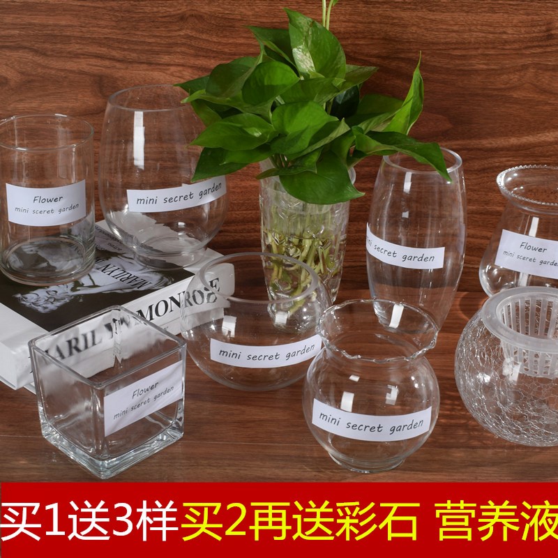 Glass Hydroponics Botany vase Simplicity originality Flower pot transparent Water to keep Scindapsus Guanyin Zhu Plug vase Container Containersin the Home accessories , Vase/Flower/Artificial flowers/Imitation jewelry , Flower/Vase , Flower pot bottles category - from Buy2taobao.com to provide professional Taobao agent buy service