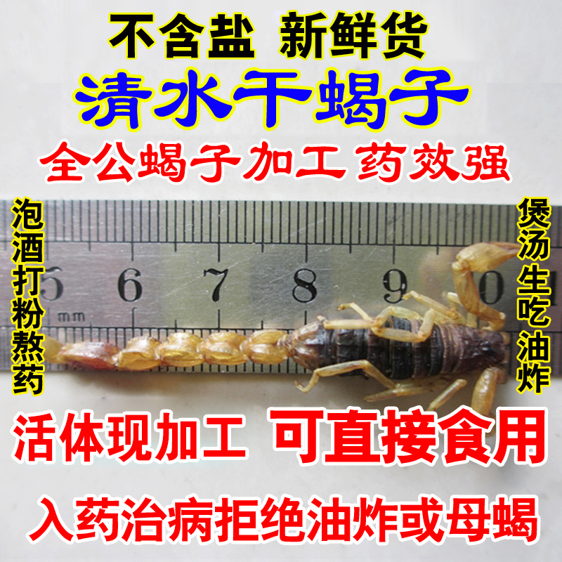 中藥材 蠍子幹 全蠍 全蟲 清水幹蠍子 野生幹貨 藥用食用60元包郵在類目 傳統滋補營養品, 藥食同源食品, 其他藥食同源食品中 - 來自Buy2taobao.com提供專業的淘寶代購服務