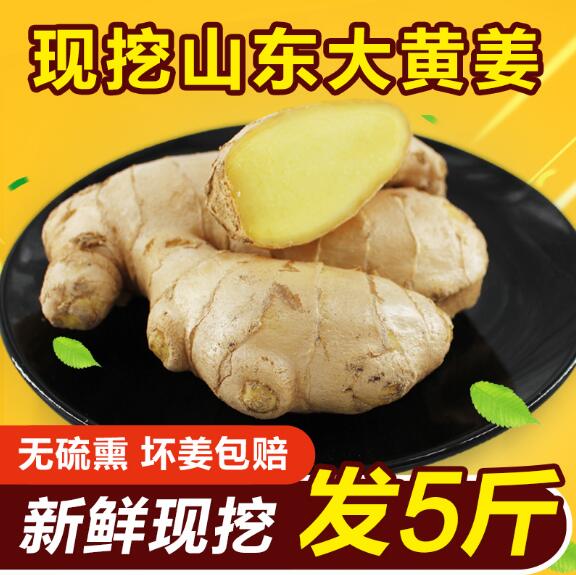 山東大黃姜老姜新鮮農家特産土姜調味鮮姜生姜蔬菜五斤裝在類目 水產肉類/新鮮蔬果/熟食, 新鮮蔬菜/蔬菜製品, 生薑中 - 來自Buy2taobao.com提供專業的淘寶代購服務
