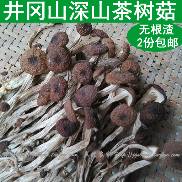 野生茶树菇干货磨菇香菇干食用菌250g无根渣井冈山农家特产包邮在类目 粮油米面/南北干货/调味品, 南北干货/肉类干货, 干货/土特产, 香菇类中 - 来自Buy2taobao.com提供专业的淘宝代购服务