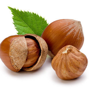  坚果特产干果 特价野生原味开口野生榛子 238g 全店4件起包邮