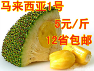  新鲜菠萝蜜 马来西亚1号/6号菠萝蜜 超香超甜 18斤起拍 12省包邮