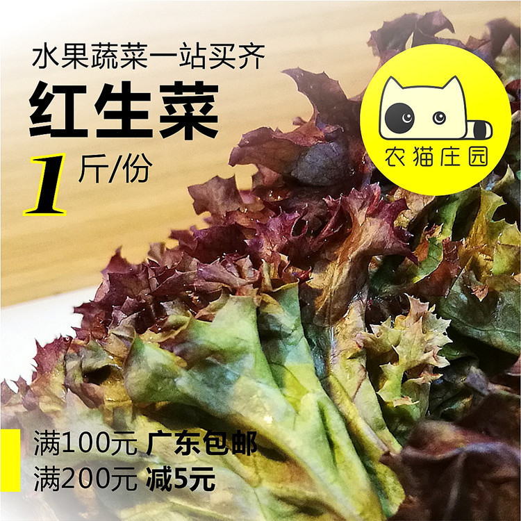 紅邊菜 1斤 新鮮生菜紅珊瑚羅莎紅 農貓莊園深圳水果沙拉蔬菜西餐在類目 水產肉類/新鮮蔬果/熟食, 新鮮蔬菜/蔬菜製品, 新鮮蔬菜, 其它中 - 來自Buy2taobao.com提供專業的淘寶代購服務