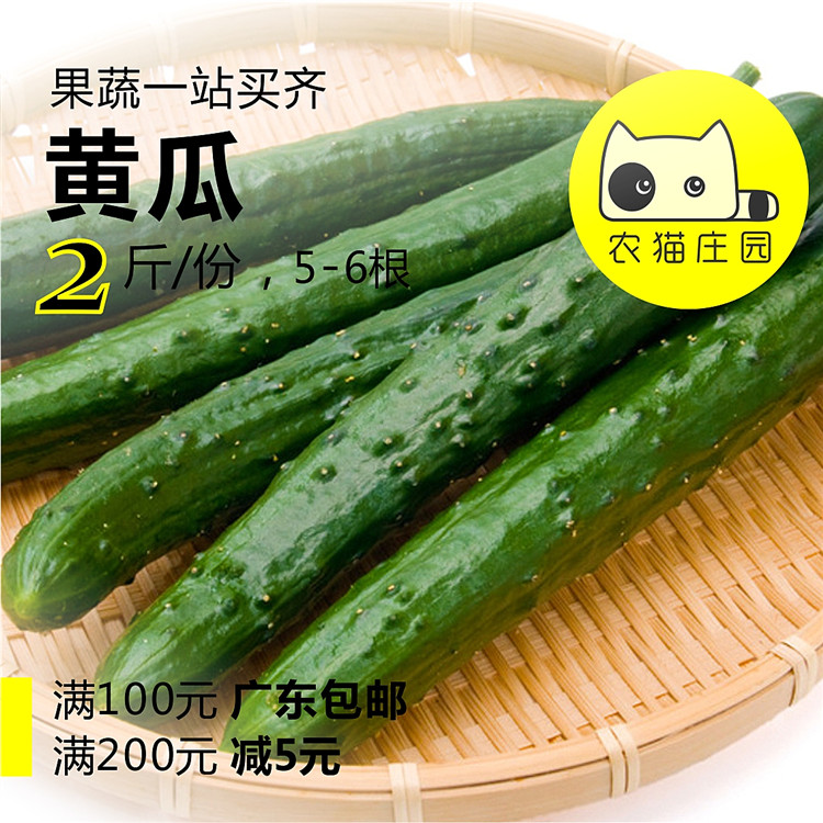 黄瓜 2斤 新鲜青瓜 农猫庄园 深圳水果沙拉蔬菜 西餐简餐轻食素食在类目 水产肉类/新鲜蔬果/熟食, 新鲜蔬菜/蔬菜制品, 新鲜蔬菜, 其它中 - 来自Buy2taobao.com提供专业的淘宝代购服务