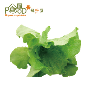  【鲜谷屋】有机蔬菜配送 新鲜散叶生菜 净菜 江浙沪满百包邮